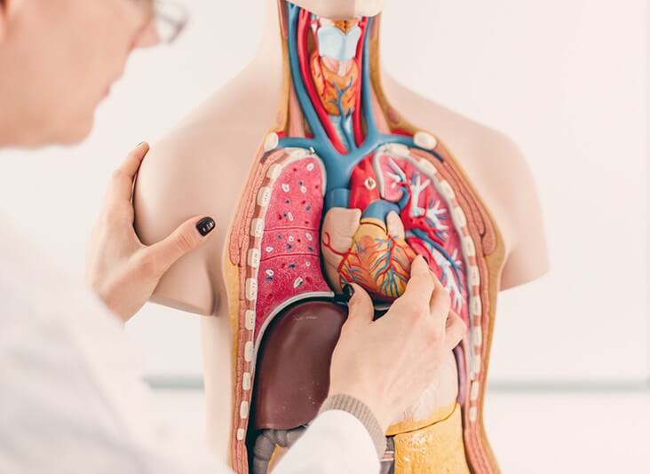 How to Keep Your Organs Healthy Save Lives Tomorrow